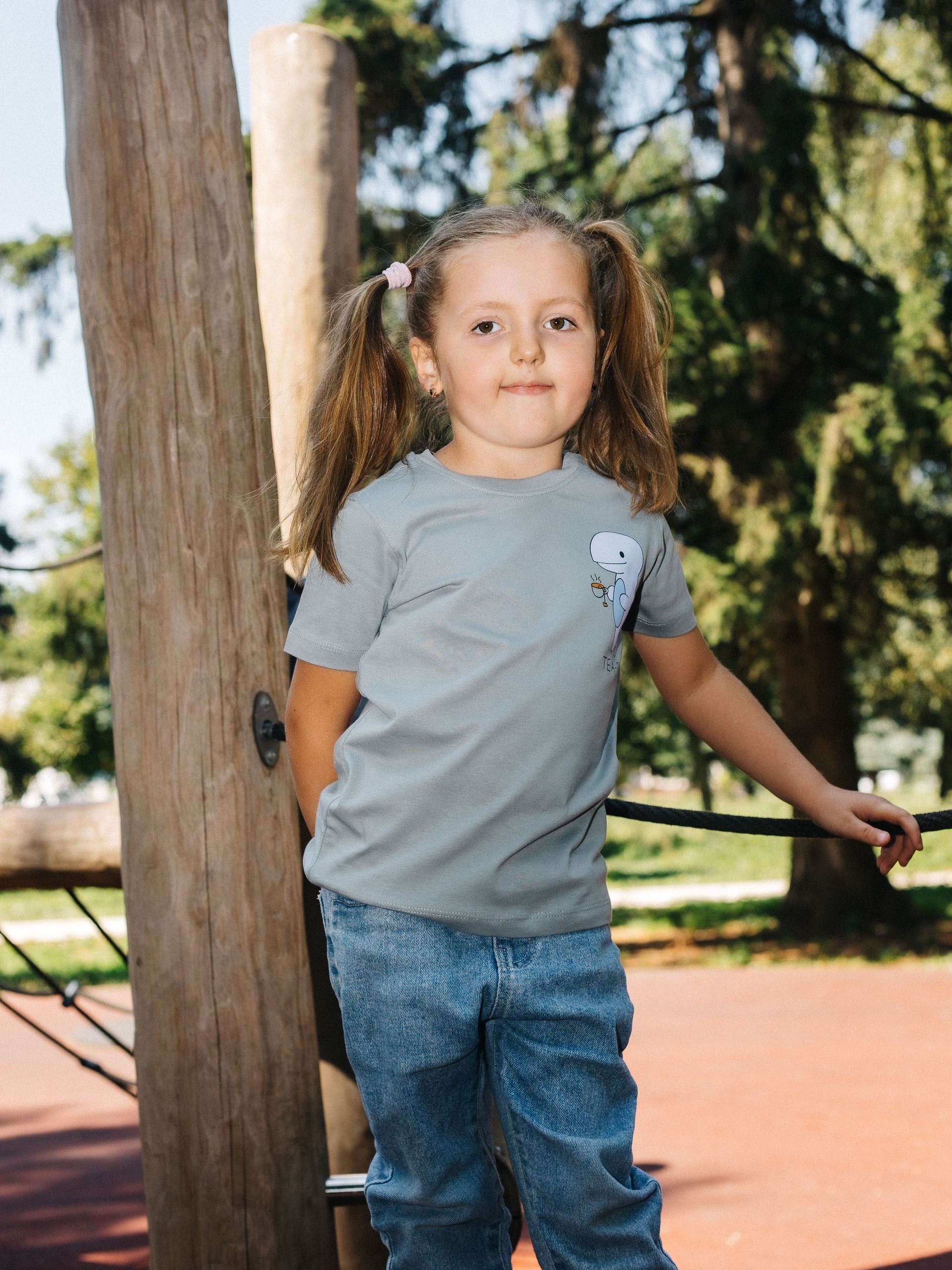 kids tshirt grey t rex kids tshirt grey t rex